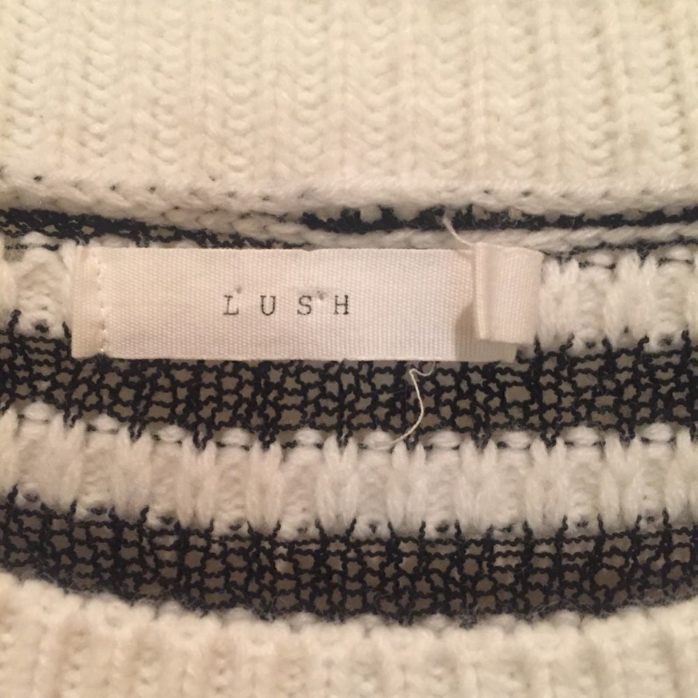 Lush Striped Sweater   - Picture 3 of 5